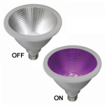 BULB LED 207 – PAR 38