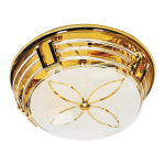 CF3017 BRASS