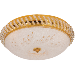 CF497 GOLD