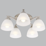 CH168/5 SATIN
