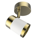 S172/1 BRASS/WHITE