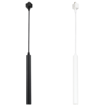 PEN234